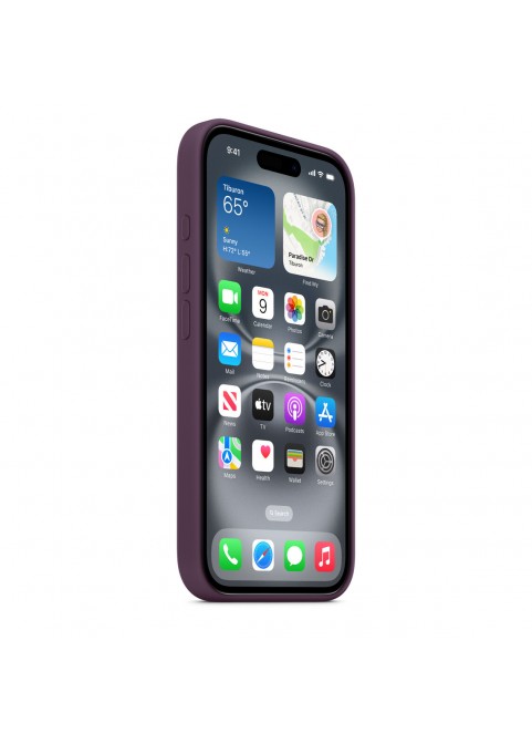 ip16plus Case-Dark Plum